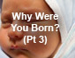 Why Were You Born Pt3