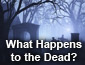 What Happens to the Dead