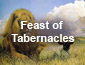 Feast of Tabernacles 