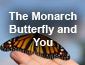 Monarch Butterfly and You- Part 1 