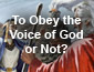 To Obey the Voice of God or Not?