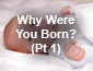 Why Were You Born? Pt1